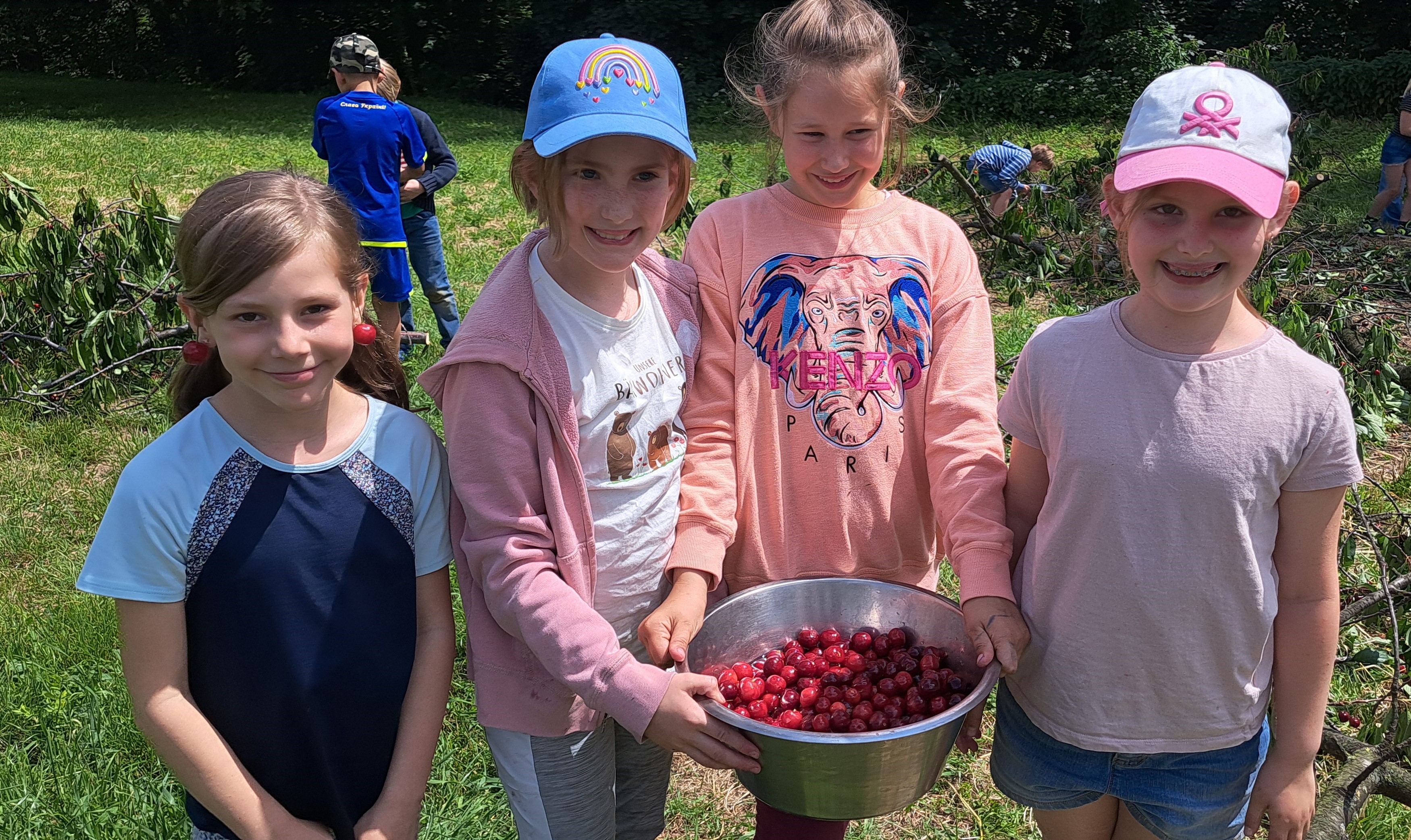 NMB – Kirschenzeit!